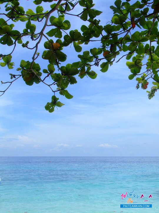 เกาะสิมิลัน กับความงามบนเกาะ