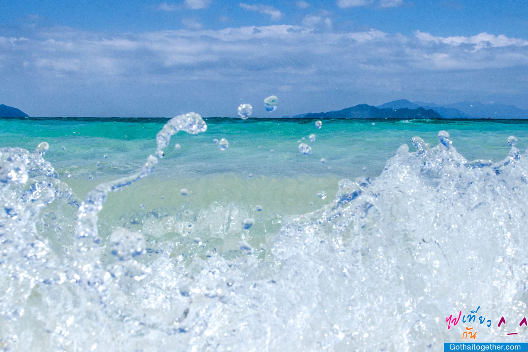 เกาะบรูเออร์ โลกใต้ทะเล สดใหม่ อันสวยงาม สายดำน้ำควรต้องมาเช็คอิน 44